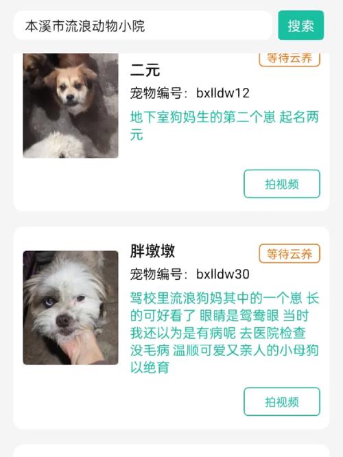 2025年澳门9点35分07和央视曝光云养殖骗局与央视曝光云养殖骗局是真的吗