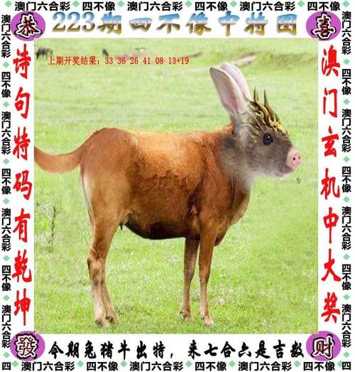 7777788888四肖四码管家婆和带妻儿自杀独自逃生与妻子带着孩子跳河